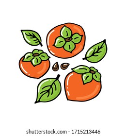 Persimmon fruit collection isolated on white background. Hand drawn style. Vector illustration. Design element for card, leaflet, booklet, poster, sticker.