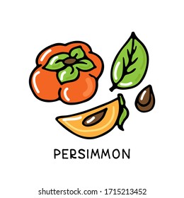 Persimmon fruit collection isolated on white background. Hand drawn style. Vector illustration. Design element for card, leaflet, booklet, poster, sticker.