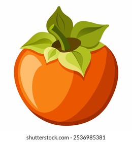 Elementos de design de fruta de Persimmon. vetor de ilustração de vetor de estilo de cor de água no fundo branco.