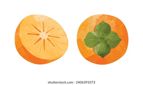 Persimmon fruit  Design elements. watercolour style vector illustration.