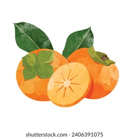 Persimmon fruit  Design elements. watercolour style vector illustration.