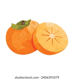 Elementos de diseño de fruta de Persimmon. ilustración vectorial de estilo acuarela.