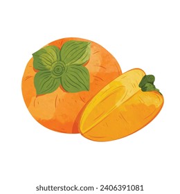 Persimmon fruit  Design elements. watercolour style vector illustration.