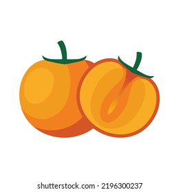 Persimmon Fruit Flat Design Vector Illustration Isolated on a White Background.