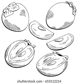 Persimmon fruit graphic black white isolated sketch illustration vector