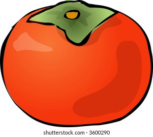 Fruto de Persimmon, ilustración de lino de color dibujado a mano