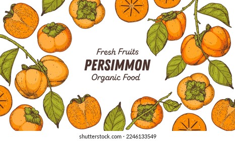 Persimmon fruit hand drawn design. Vector illustration. Design, package, brochure illustration. Persimmon fruit frame illustration. Design elements for packaging design and other.