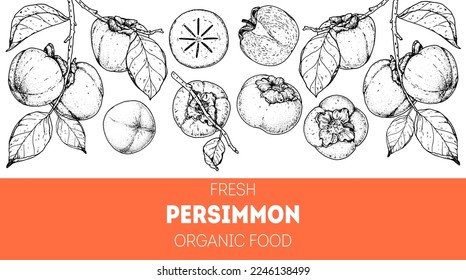 Persimmon fruit hand drawn design. Vector illustration. Design, package, brochure illustration. Persimmon fruit frame illustration. Design elements for packaging design and other.