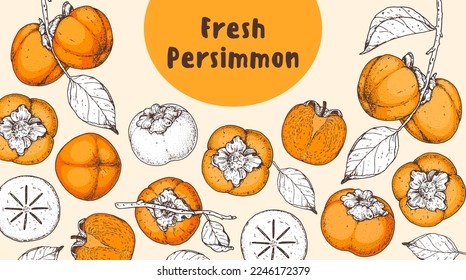 Persimmon fruit hand drawn design. Vector illustration. Design, package, brochure illustration. Persimmon fruit frame illustration. Design elements for packaging design and other