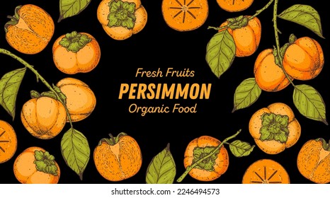 Persimmon fruit hand drawn design. Vector illustration. Design, package, brochure illustration. Persimmon fruit frame illustration. Design elements for packaging design and other.