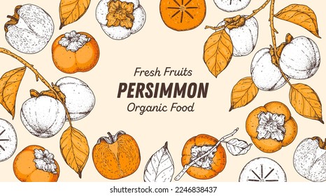 Persimmon fruit hand drawn design. Vector illustration. Design, package, brochure illustration. Persimmon fruit frame illustration. Design elements for packaging design and other