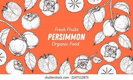 Persimmon fruit hand drawn design. Vector illustration. Design, package, brochure illustration. Persimmon fruit frame illustration. Design elements for packaging design and other.