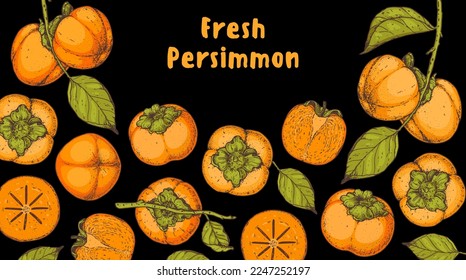 Persimmon fruit hand drawn design. Vector illustration. Design, package, brochure illustration. Persimmon fruit frame illustration. Design elements for packaging design and other.