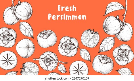 Persimmon fruit hand drawn design. Vector illustration. Design, package, brochure illustration. Persimmon fruit frame illustration. Design elements for packaging design and other.