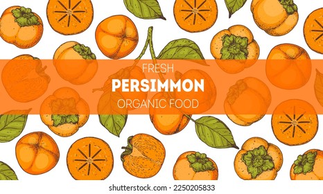 Persimmon fruit hand drawn design. Vector illustration. Design, package, brochure illustration. Persimmons fruits  illustration. Design elements for packaging design and other.