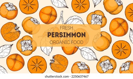 Persimmon fruit hand drawn design. Vector illustration. Design, package, brochure illustration. Persimmon fruit frame illustration. Design elements for packaging design and other.