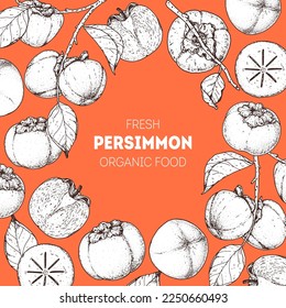 Persimmon fruit hand drawn design. Vector illustration. Design, package, brochure illustration. Persimmon fruit frame illustration. Design elements for packaging design and other.