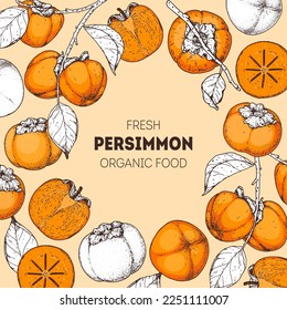 Persimmon fruit hand drawn design. Vector illustration. Design, package, brochure illustration. Persimmon fruit frame illustration. Design elements for packaging design and other.