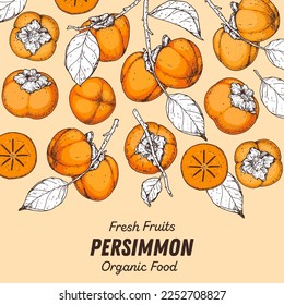 Persimmon fruit hand drawn design. Vector illustration. Design, package, brochure illustration. Persimmon fruit frame illustration. Design elements for packaging design and other.