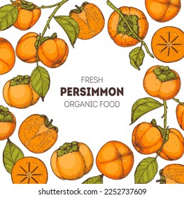 Persimmon fruit hand drawn design. Vector illustration. Design, package, brochure illustration. Persimmon fruit frame illustration. Design elements for packaging design and other.