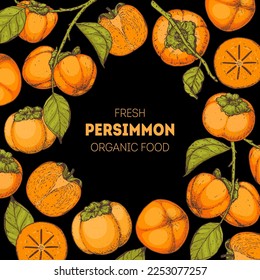 Persimmon fruit hand drawn design. Vector illustration. Design, package, brochure illustration. Persimmon fruit frame illustration. Design elements for packaging design and other.