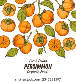 Persimmon fruit hand drawn design. Vector illustration. Design, package, brochure illustration. Persimmon fruit frame illustration. Design elements for packaging design and other.