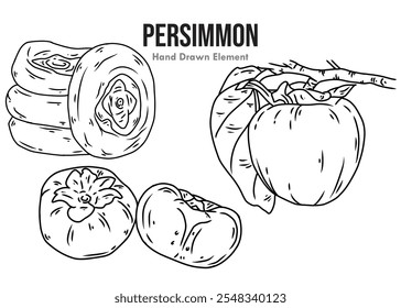 Esquema de desenho à mão de arte de linha de fruta de caquinho. Caquis secos, inteiros e divididos sobre fundo branco. Para design de embalagens, design de ornamentos e agricultura