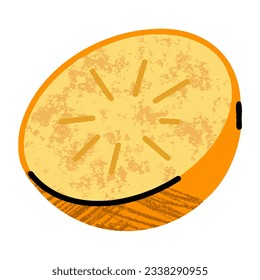 persimmon fruit, simple illustration in abstract flat sketch drawing style, healthy food