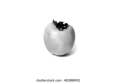 Persimmon fruit Sketch painting isolated on the white background Black and white