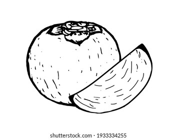 Persimmon fruit and its slice doodle drawing on a white background. Vector illustration of a fruit in hand drawn style