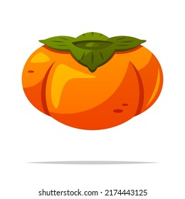 Persimmon fruit vector isolated illustration