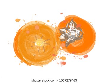 persimmon fruit watercolor illustration. vector persimmon hand drawn painting. 