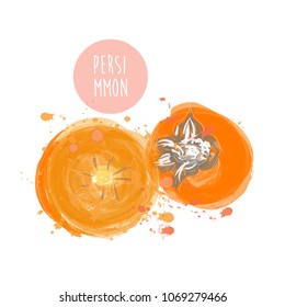 persimmon fruit watercolor illustration. vector persimmon hand drawn painting. 