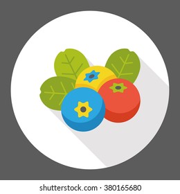 persimmon fruits flat icon