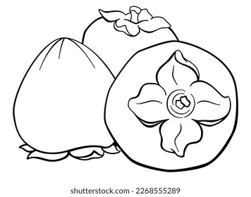 Persimmon, fruits with stalk - vector line art picture with vegetable food for coloring, logo or pictogram. Outline. The fruit of the persimmon tree is a healthy wholesome food.