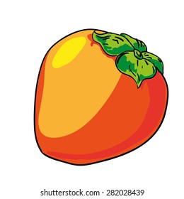 persimmon - hand drawn fruits isolated vector