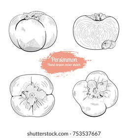 Persimmon hand drawn vector sketch set. Food illustration