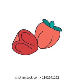 Persimmon icon. Cartoon persimmon vector icon for web design isolated on white background