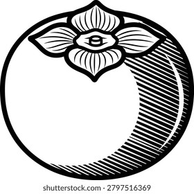 Persimmon Icon Fresh Round Fruit Food Line Art Vector