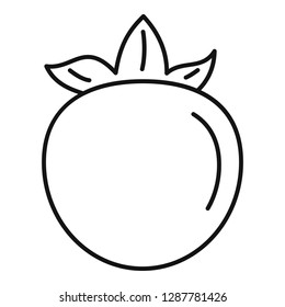 Persimmon icon. Outline persimmon vector icon for web design isolated on white background