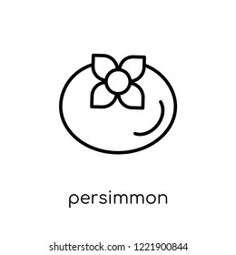 persimmon icon. Trendy modern flat linear vector persimmon icon on white background from thin line Fruit and vegetables collection, outline vector illustration