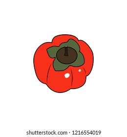 Persimmon icon vector illustration on white background. Eps10
