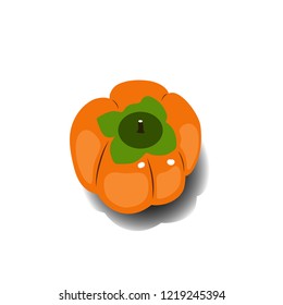 Persimmon icon vector illustration on white background. Eps10