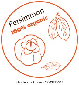 Persimmon icon vector illustration on white background. Eps10