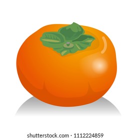 Persimmon illustration, fruit illustration, vector data
