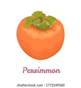 Persimmon isolated on white background. Vector illustration of tropical fruit in cartoon flat style.