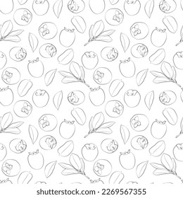 Persimmon isolated on white background with clipping path. A set of seamless patterns with kiwi. Vector graphics, 1000x1000.