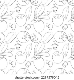 Persimmon isolated on white background with clipping path. A set of seamless patterns with kiwi. Vector graphics, 1000x1000.