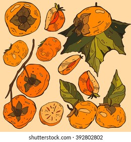 Persimmon Isolated, Persimmon Vector.Persimmon icon, fruit set. Fruit Composition for Packaging Juice, Yogurt and other design elements for  labels, badges ,banner,  flayer, business, card, poster