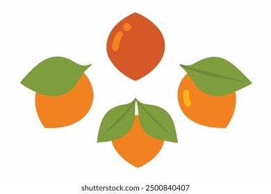Persimmon Leaf Color Art Detailed Botanical Illustration for Leaf Enthusiasts